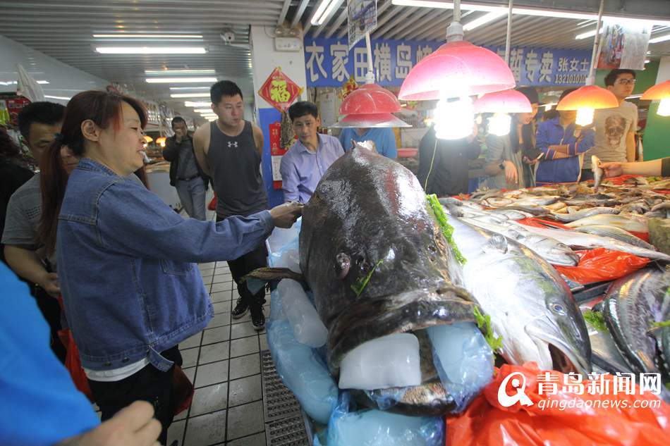 高清:青岛渔民捕305斤巨型石斑鱼