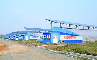 青岛农业创客空间升为“国家级”