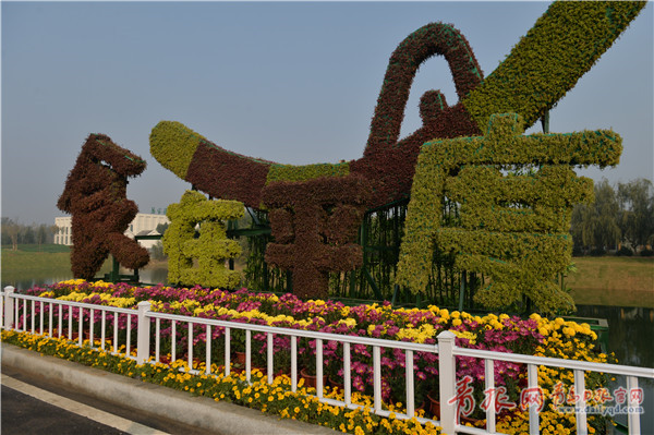 DSC_2476.jpg