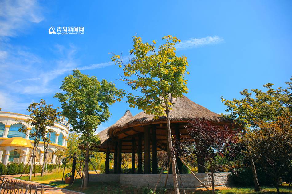 高清：走进十月世博园 色彩斑斓尽显金秋美景
