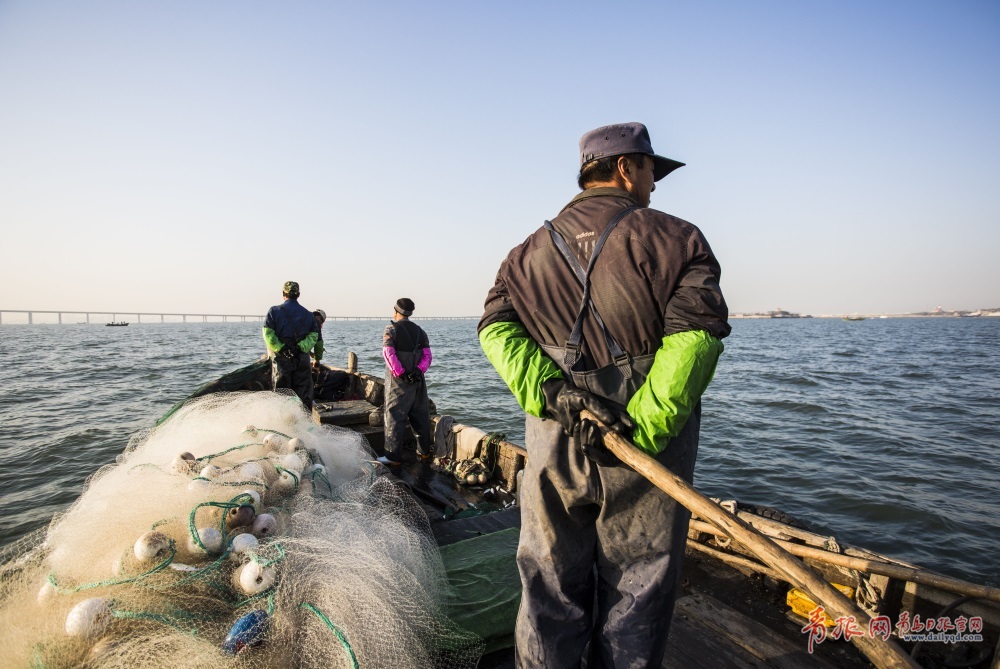 实拍胶州湾小围网捕鱼 记录渔民的勤劳与智慧