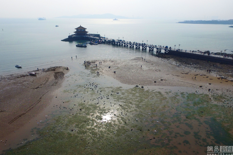 组图：航拍青岛栈桥海鸥翔集 徘徊起舞景如画