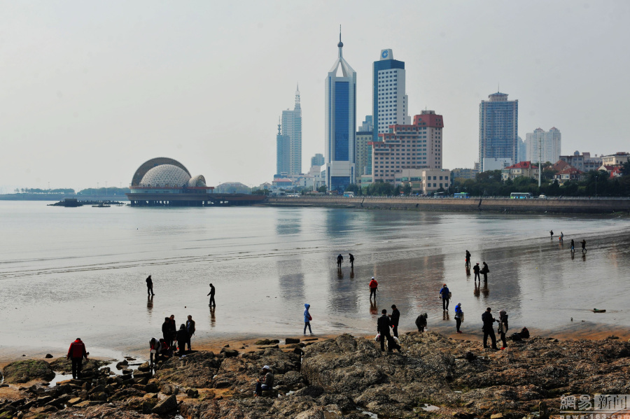 组图：航拍青岛栈桥海鸥翔集 徘徊起舞景如画