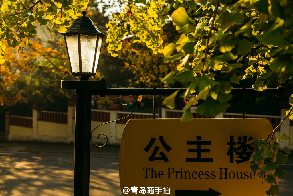 实拍八大关公主楼绝美秋景 神秘浪漫惹人醉 实拍八大关公主楼绝美秋景 神秘浪漫惹人醉