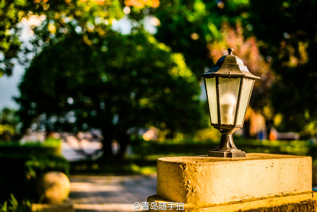 实拍八大关公主楼绝美秋景 神秘浪漫惹人醉 实拍八大关公主楼绝美秋景 神秘浪漫惹人醉