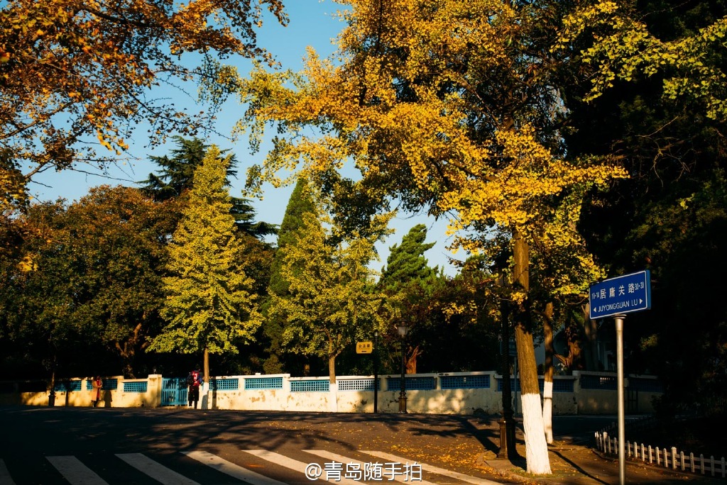 实拍八大关公主楼绝美秋景 神秘浪漫惹人醉 实拍八大关公主楼绝美秋景 神秘浪漫惹人醉