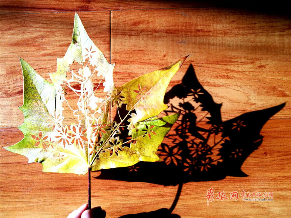 惟妙惟肖！青岛嫚树叶上作画留住秋天的尾巴