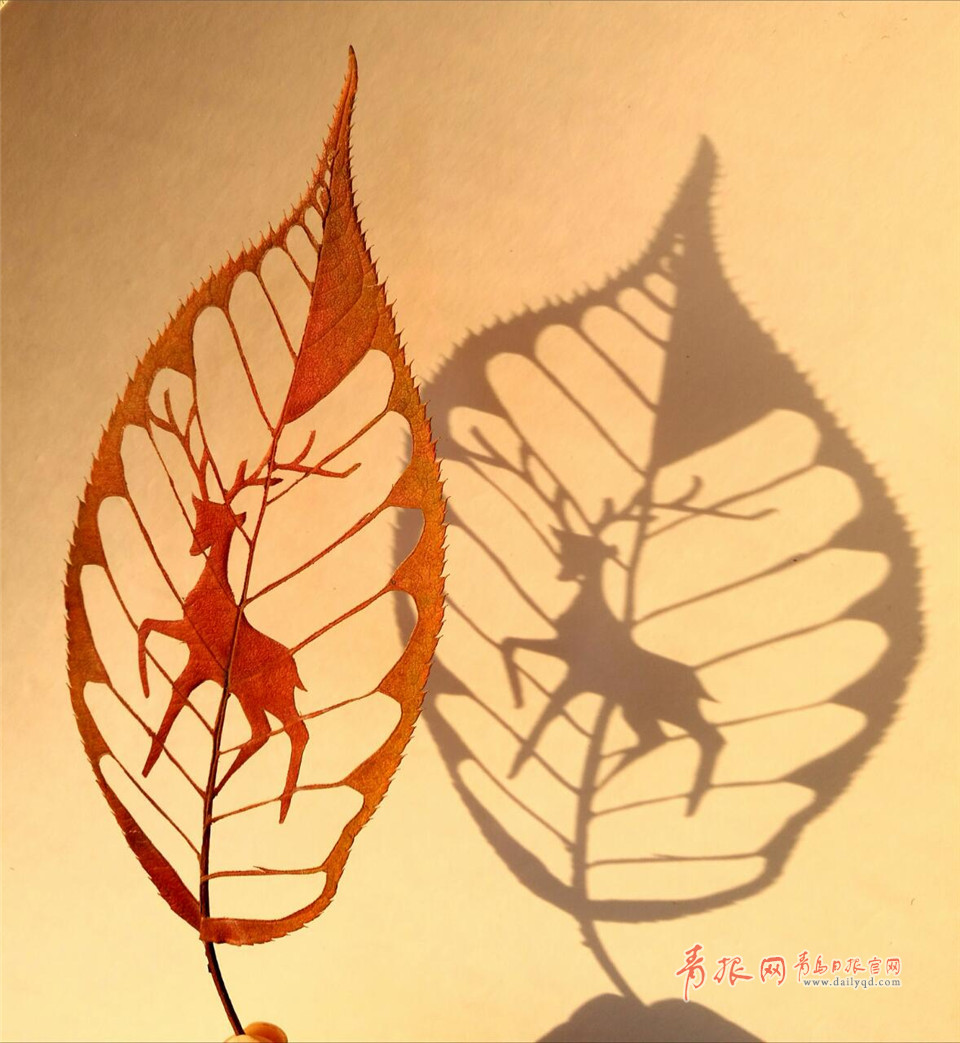 惟妙惟肖！青岛嫚树叶上作画留住秋天的尾巴