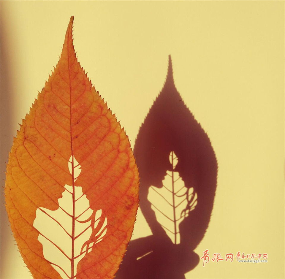 惟妙惟肖！青岛嫚树叶上作画留住秋天的尾巴