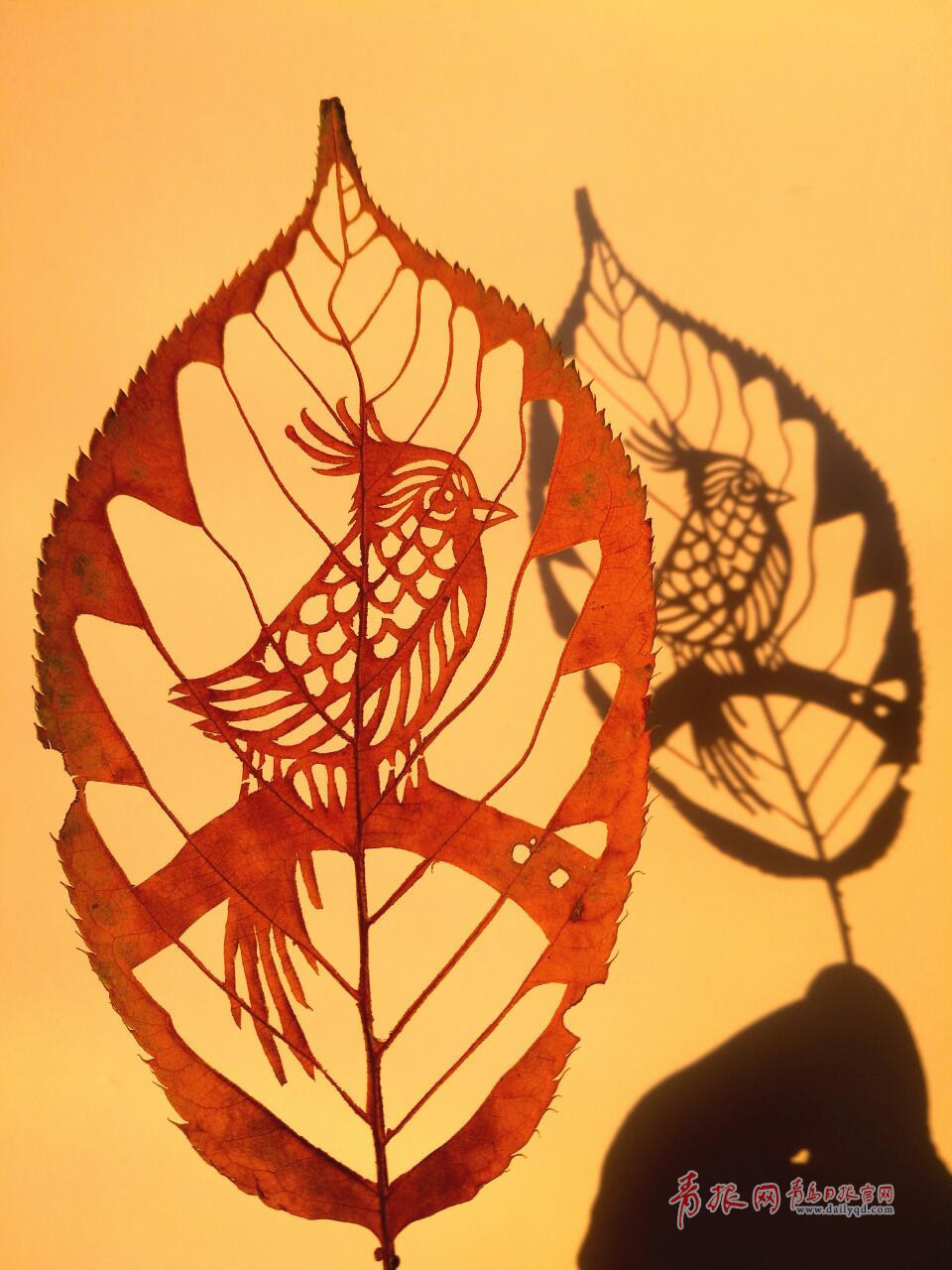 惟妙惟肖！青岛嫚树叶上作画留住秋天的尾巴