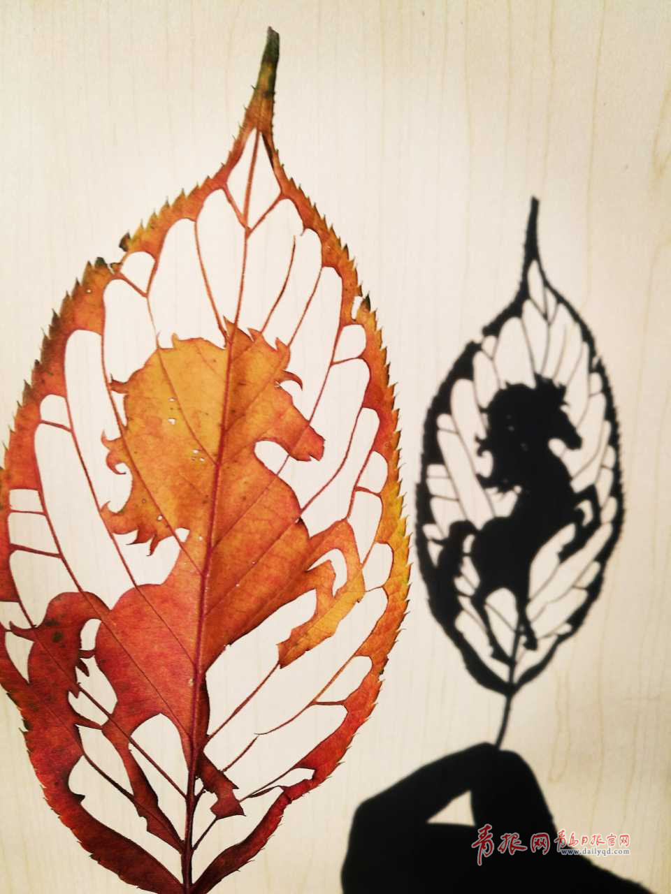 惟妙惟肖！青岛嫚树叶上作画留住秋天的尾巴