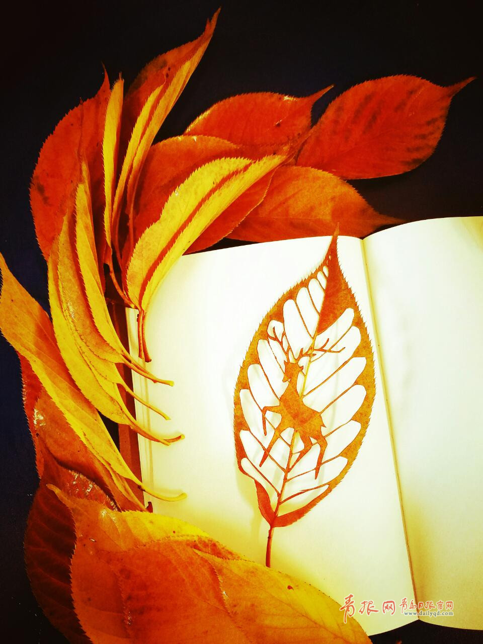 惟妙惟肖！青岛嫚树叶上作画留住秋天的尾巴