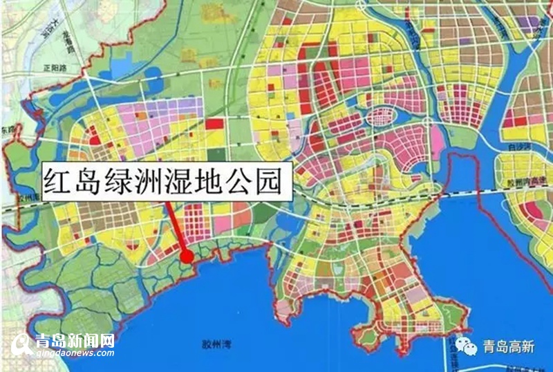 珍惜候鸟频现胶州湾 最全观鸟攻略看这里(图)