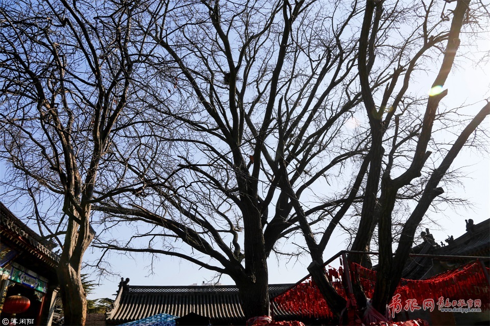 实拍青岛天后宫 历史悠久景色醉人