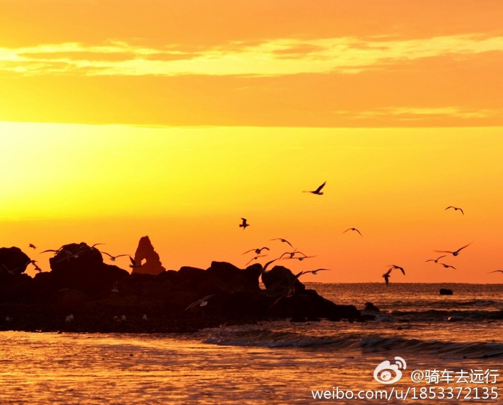 朝霞漫天伴鸥舞 初春石老人海上日出壮美奇幻 朝霞漫天伴鸥舞 初春石老人海上日出壮美奇幻