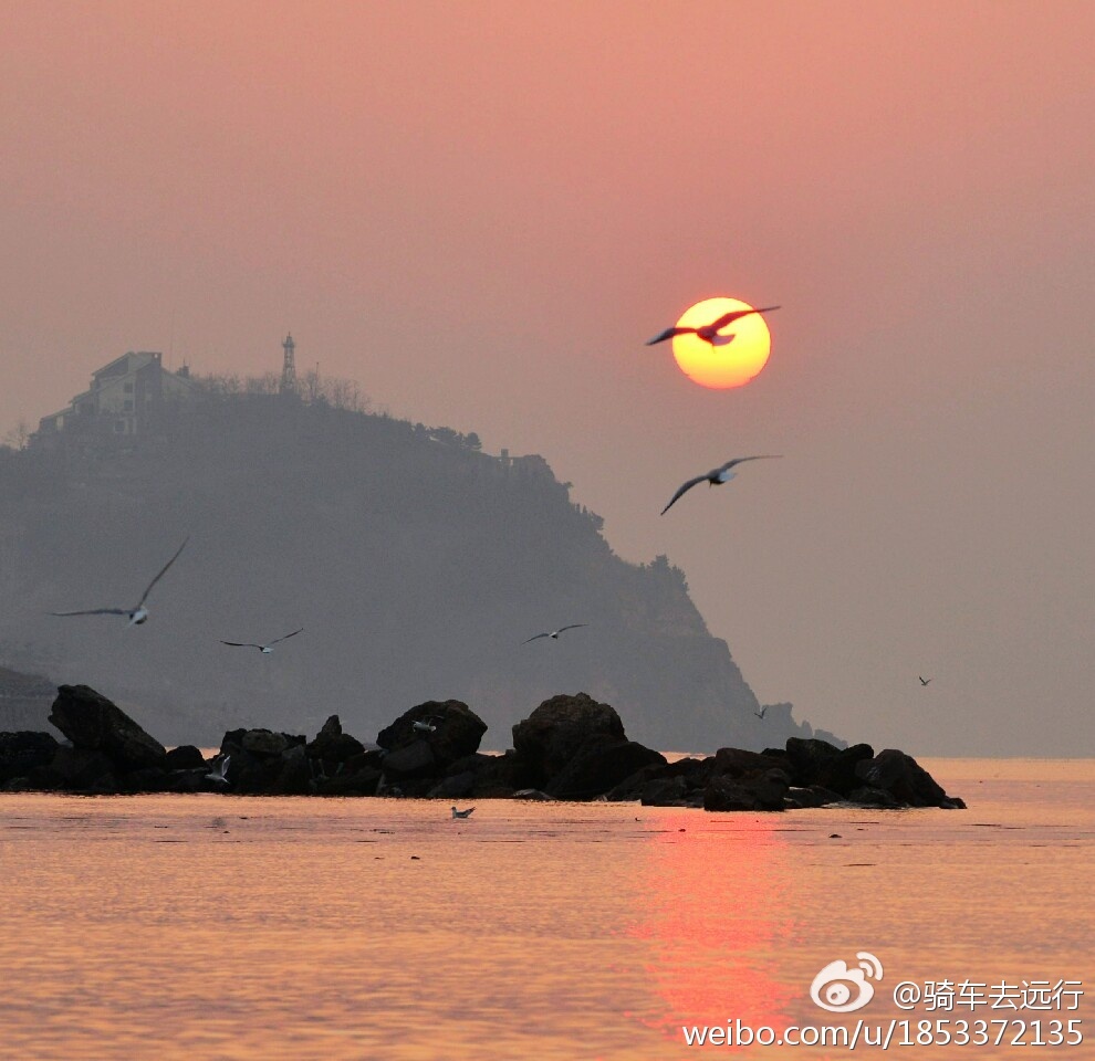 朝霞漫天伴鸥舞 初春石老人海上日出壮美奇幻 朝霞漫天伴鸥舞 初春石老人海上日出壮美奇幻