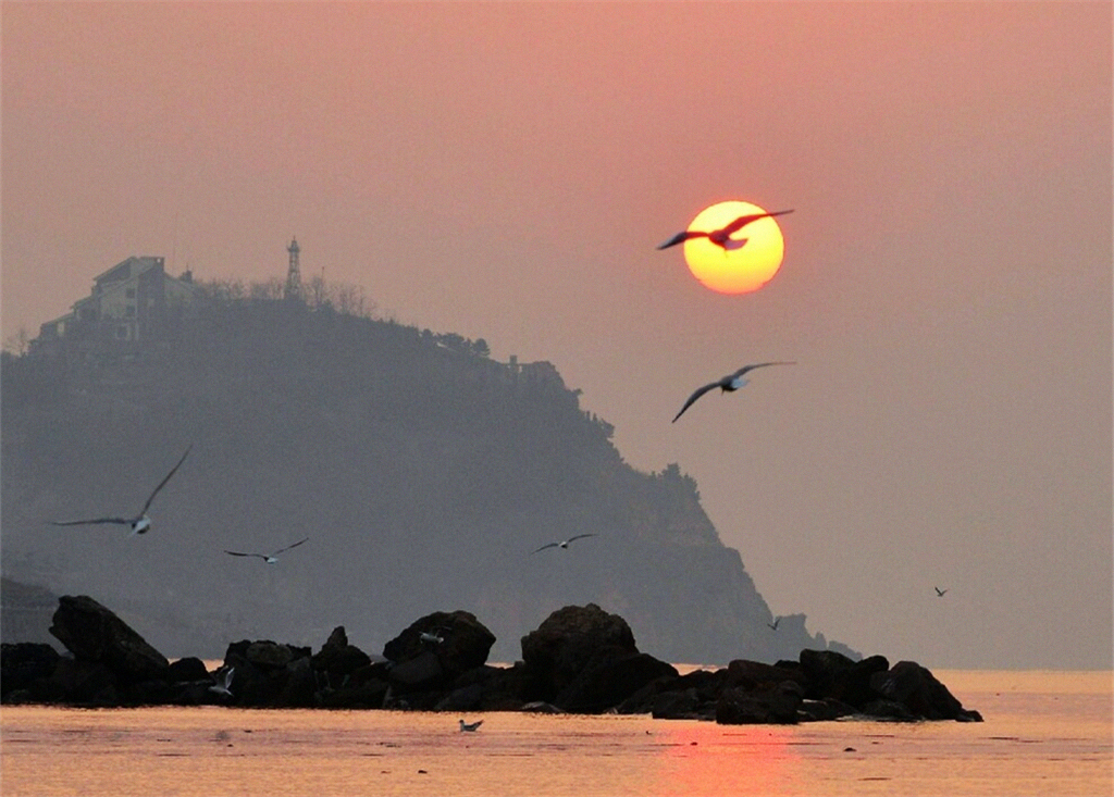 朝霞漫天伴鸥舞 初春石老人海上日出壮美奇幻