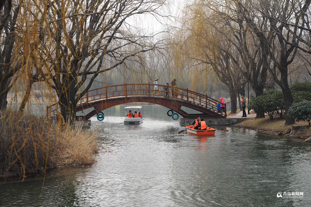 各公园游船重开 晒初春青岛的小桥流水 各公园游船重开 晒初春青岛的小桥流水