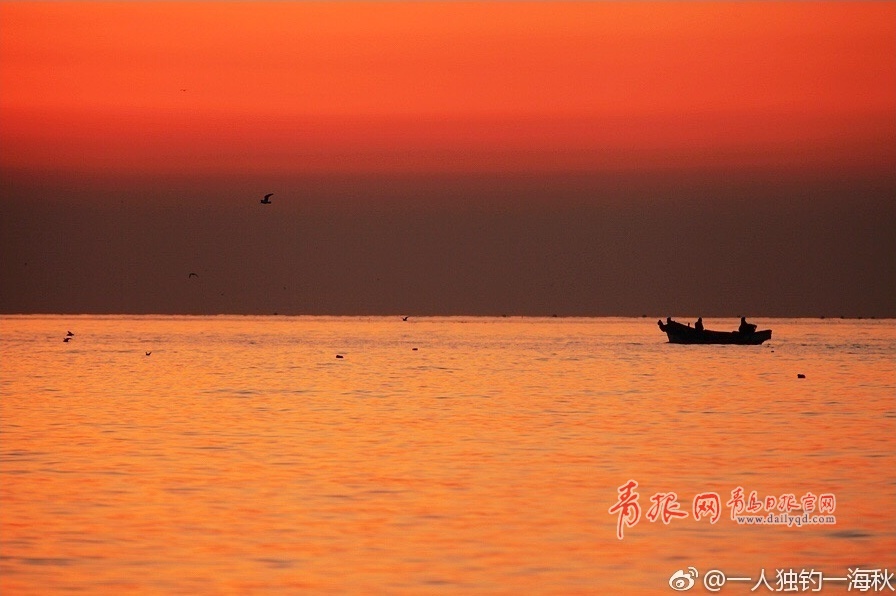 朝霞与海鸥齐飞，实拍浮山湾壮美日出全过程！