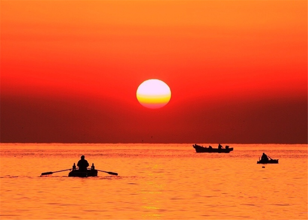 朝霞与海鸥齐飞，实拍浮山湾壮美日出全过程！