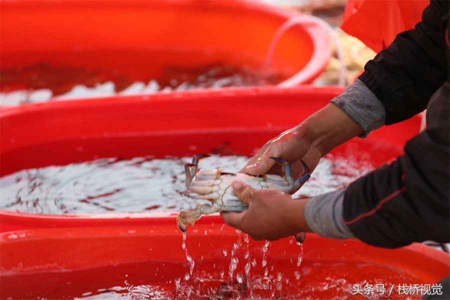 休渔期将至小海鲜俏销 小港码头食客云集(图)
