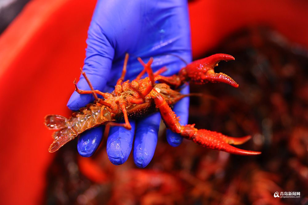 高清：市场上鲜活小龙虾热卖 每斤28元尝鲜喽