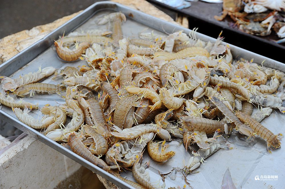 一筐筐虾虎供应充足