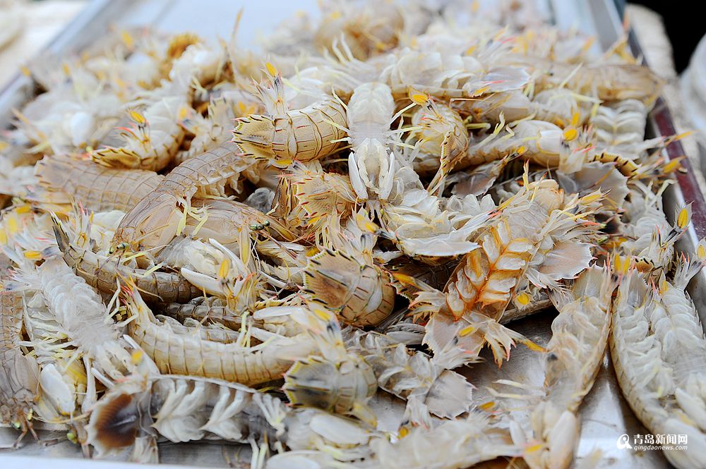 实惠尝鲜正当时