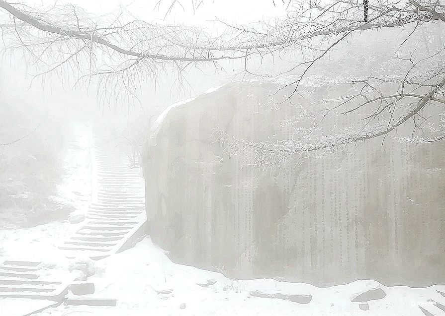 唯美雨夹雪光临崂山之巅 巨峰雾凇来了