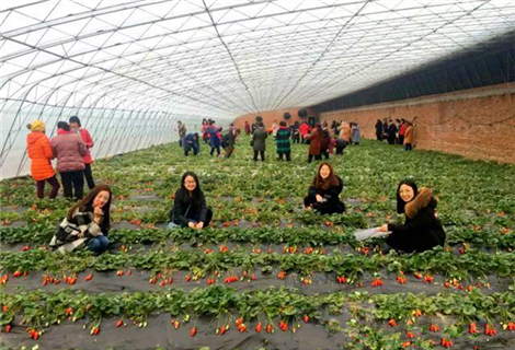 不负春光！青岛赏花踏青旅游活动等你来~