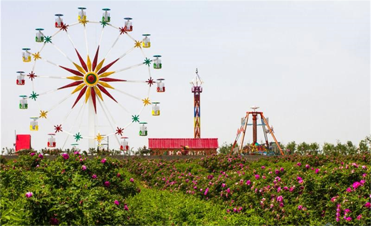 3000亩玫瑰花海将开放，青岛这个地方要美成童话！